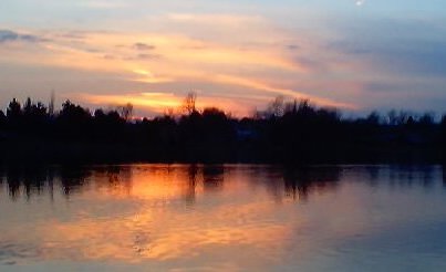 Lake Victoria - Late evening view l

<p class=